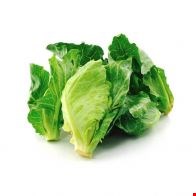 موبایل اندرویدی samsung