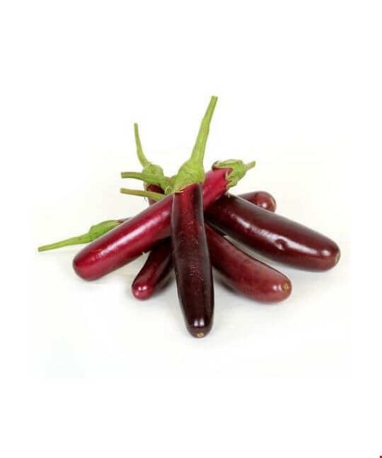 موبایل نوکیا